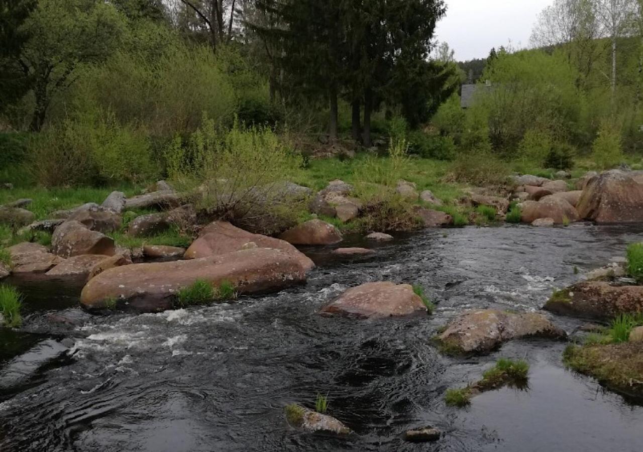 Lipno Pearl Ξενοδοχείο Lipno nad Vltavou Εξωτερικό φωτογραφία